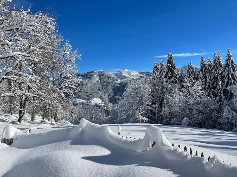 Chalet Alpage Proche Geneve Mégevette Zewnętrze zdjęcie