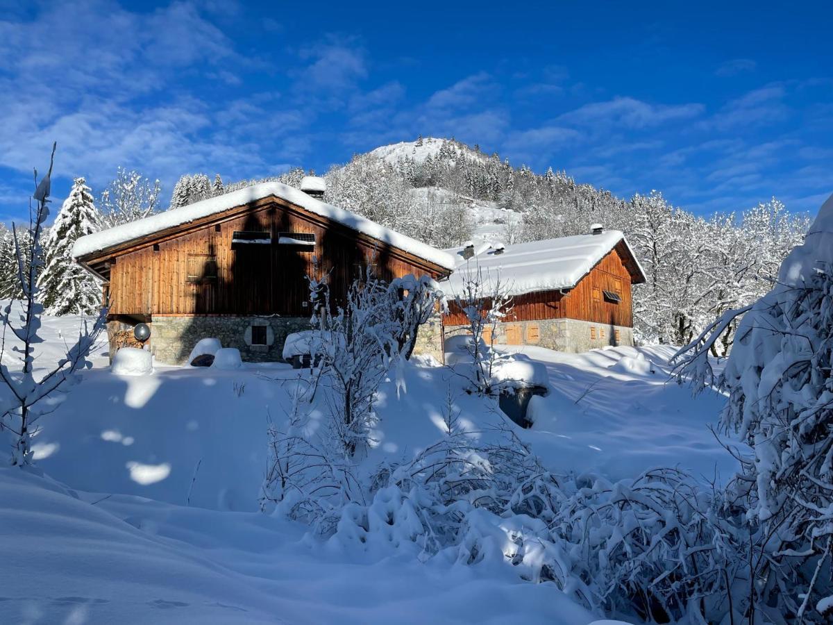 Chalet Alpage Proche Geneve Mégevette Zewnętrze zdjęcie