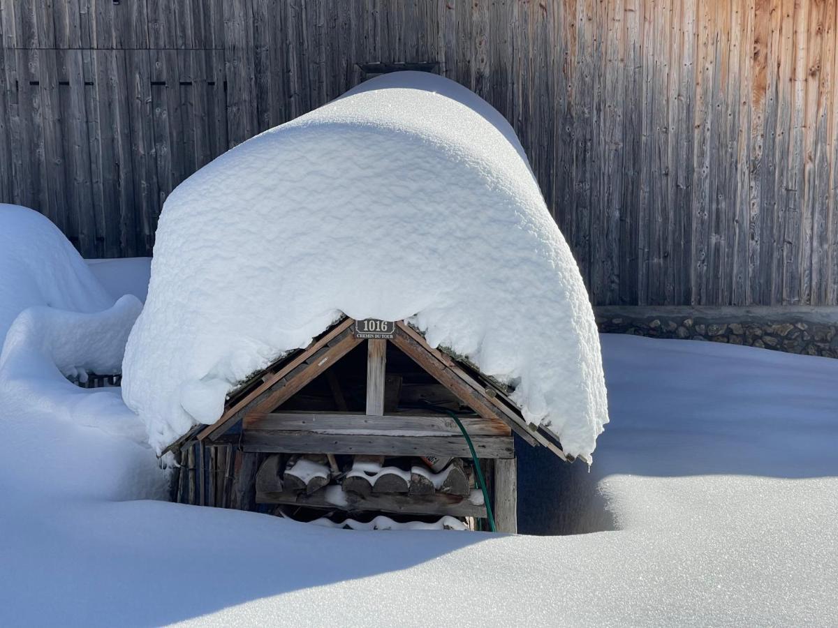 Chalet Alpage Proche Geneve Mégevette Zewnętrze zdjęcie