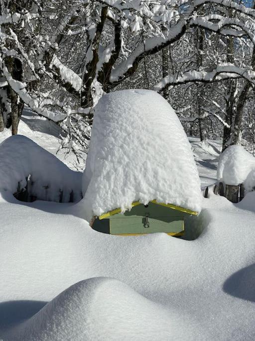 Chalet Alpage Proche Geneve Mégevette Zewnętrze zdjęcie