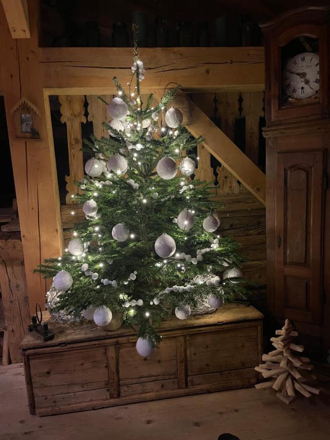 Chalet Alpage Proche Geneve Mégevette Zewnętrze zdjęcie