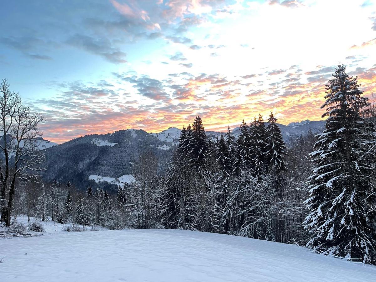 Chalet Alpage Proche Geneve Mégevette Zewnętrze zdjęcie
