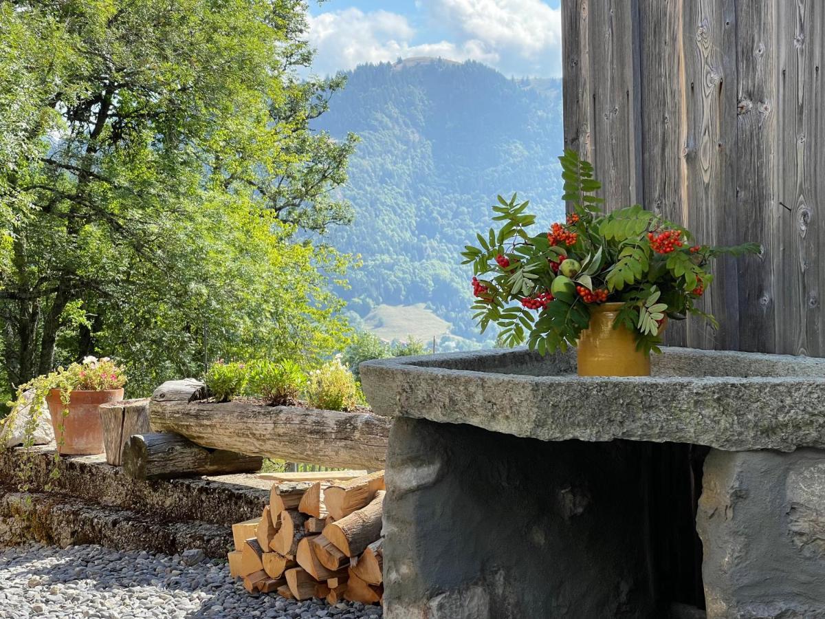 Chalet Alpage Proche Geneve Mégevette Zewnętrze zdjęcie