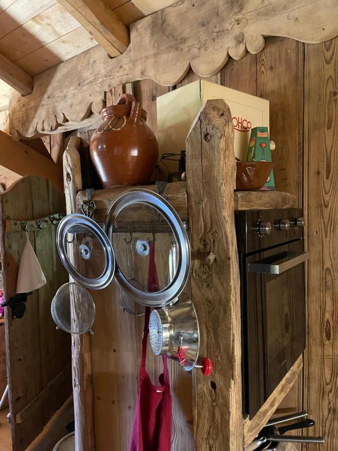 Chalet Alpage Proche Geneve Mégevette Zewnętrze zdjęcie