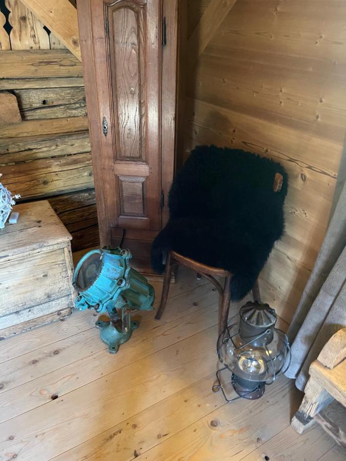 Chalet Alpage Proche Geneve Mégevette Zewnętrze zdjęcie